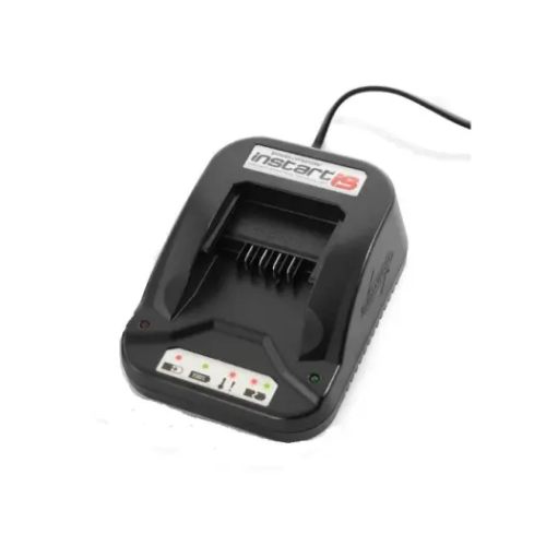 Briggs & Stratton Genuine InStart? Battery Charger 596335