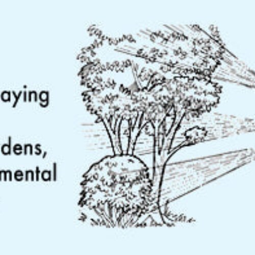 ATOM BLOWER SPRAYING MISTING