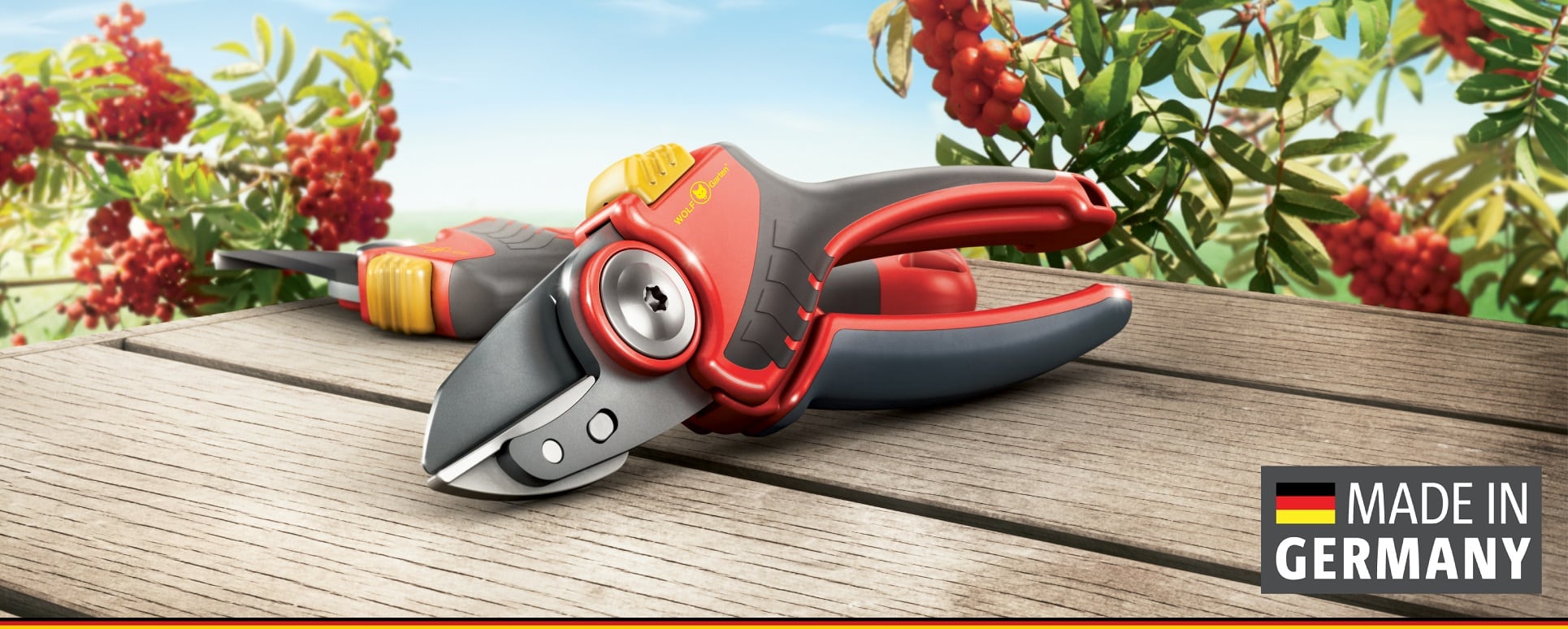 slider image