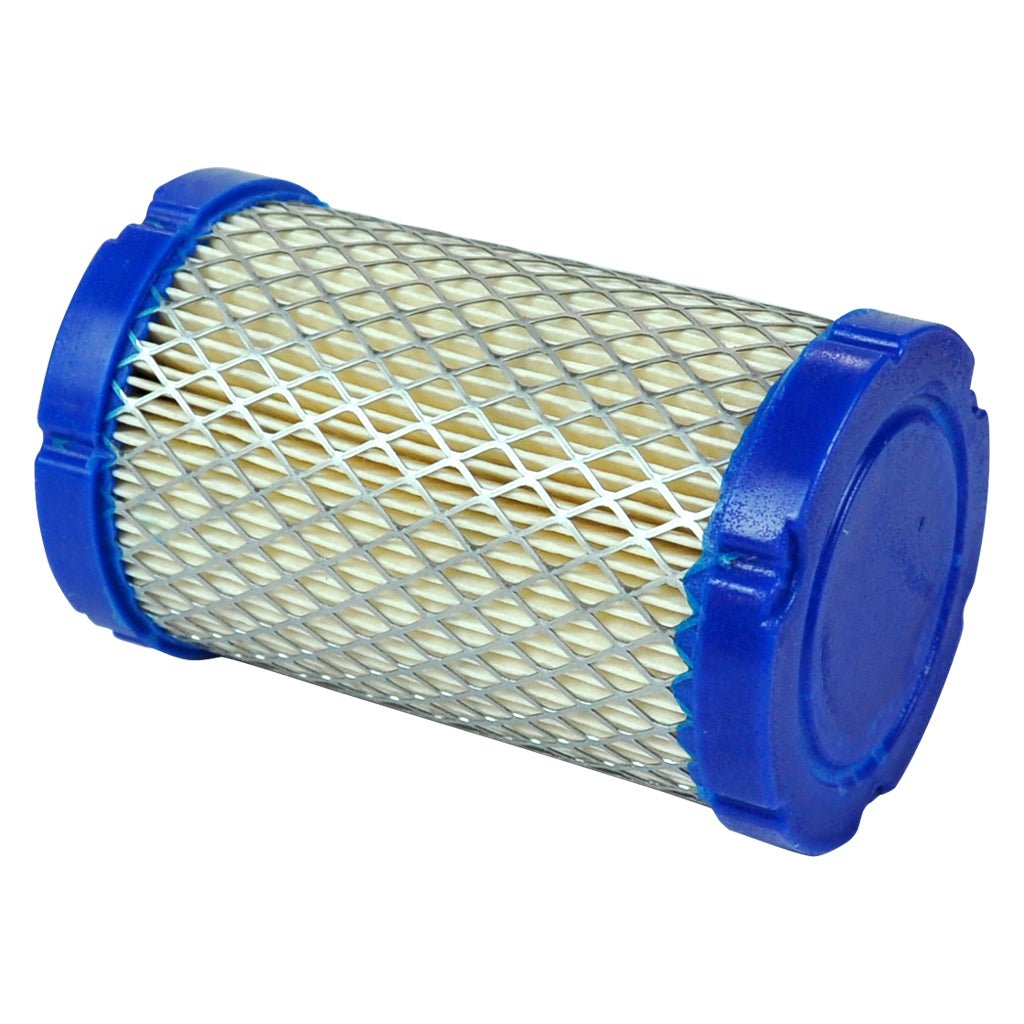 Briggs & Stratton Cylinder Type Cartridge Replaces OEM: 590825, 591334, 594201, 796031